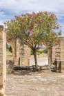Cordoba, Andalusia, Spain. Ruins at Medina Azahara, a Moorish fortified palace outside of Cordoba. Art Print